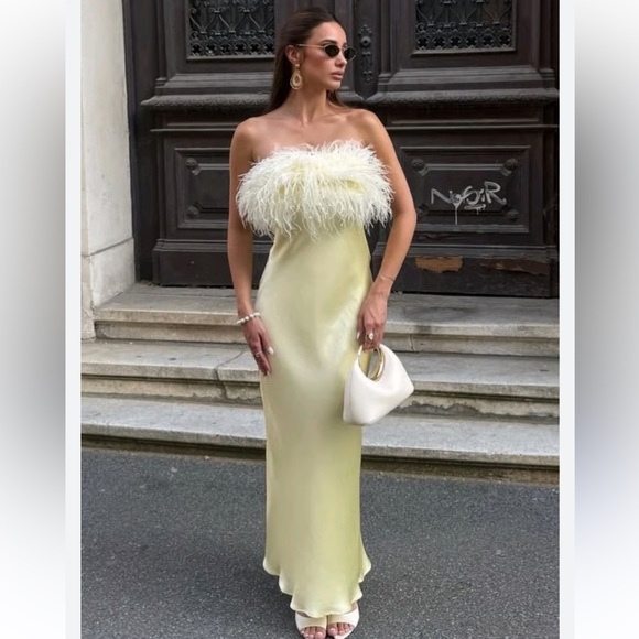 NWT ZARA  VIRAL 2025 COLLECTION FEATHERED SATIN  DRESS SIZE S and L
🚨FIRM PRICE - Picture 8 of 16
